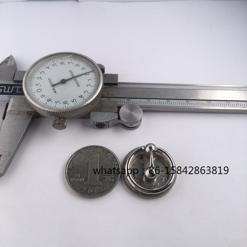 Cincin Mata Kuda PA Ring Perhi - Body Jewelry Titanium ulasan dan harga