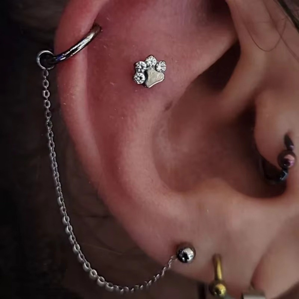 Rantai Hidung Titanium Rantai  - Body Jewelry Titanium ulasan dan harga